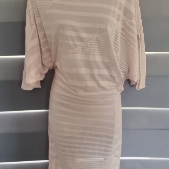 Ladies sheer dress - Picture 7 of 10